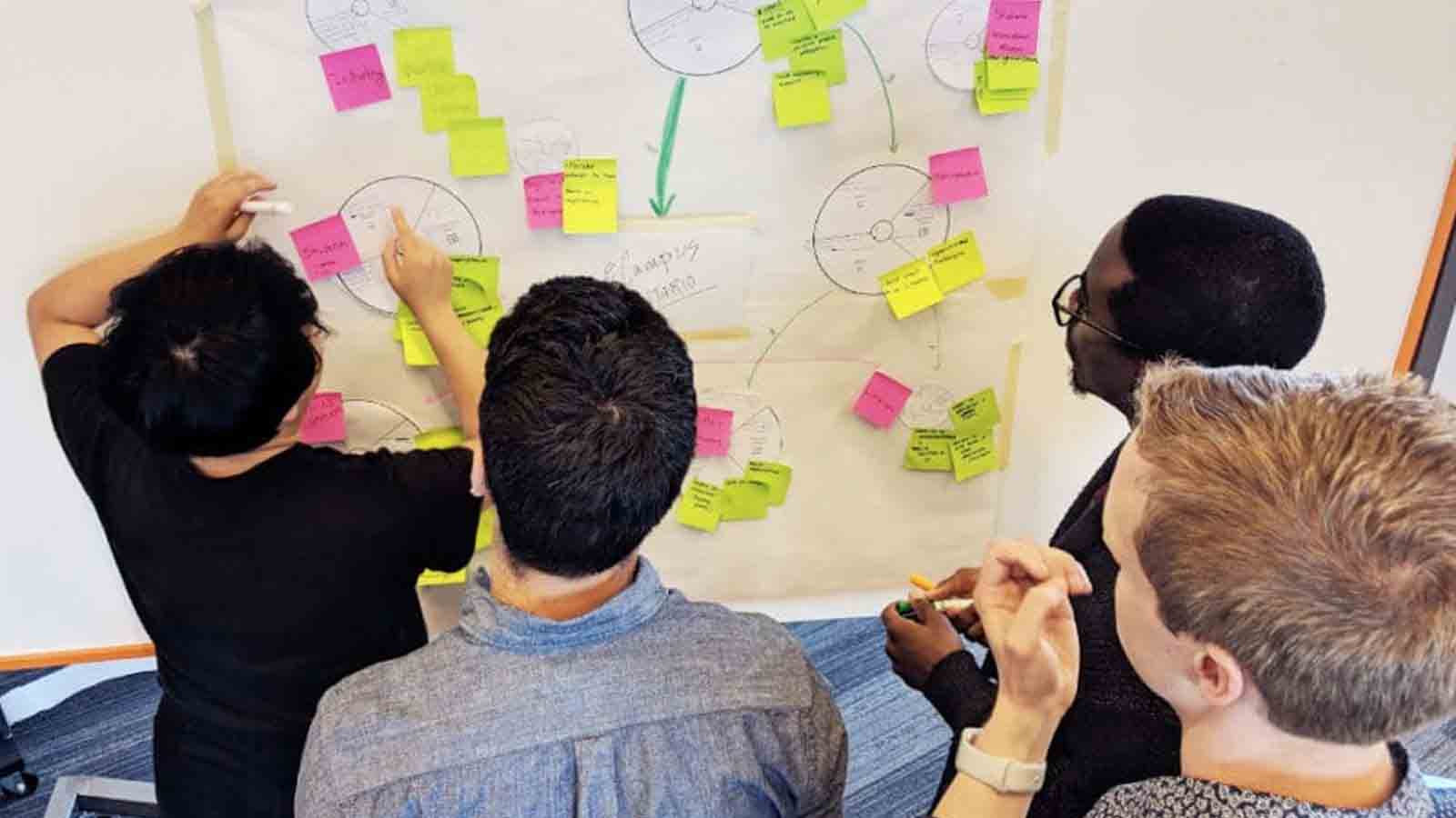 Web Development Coordination