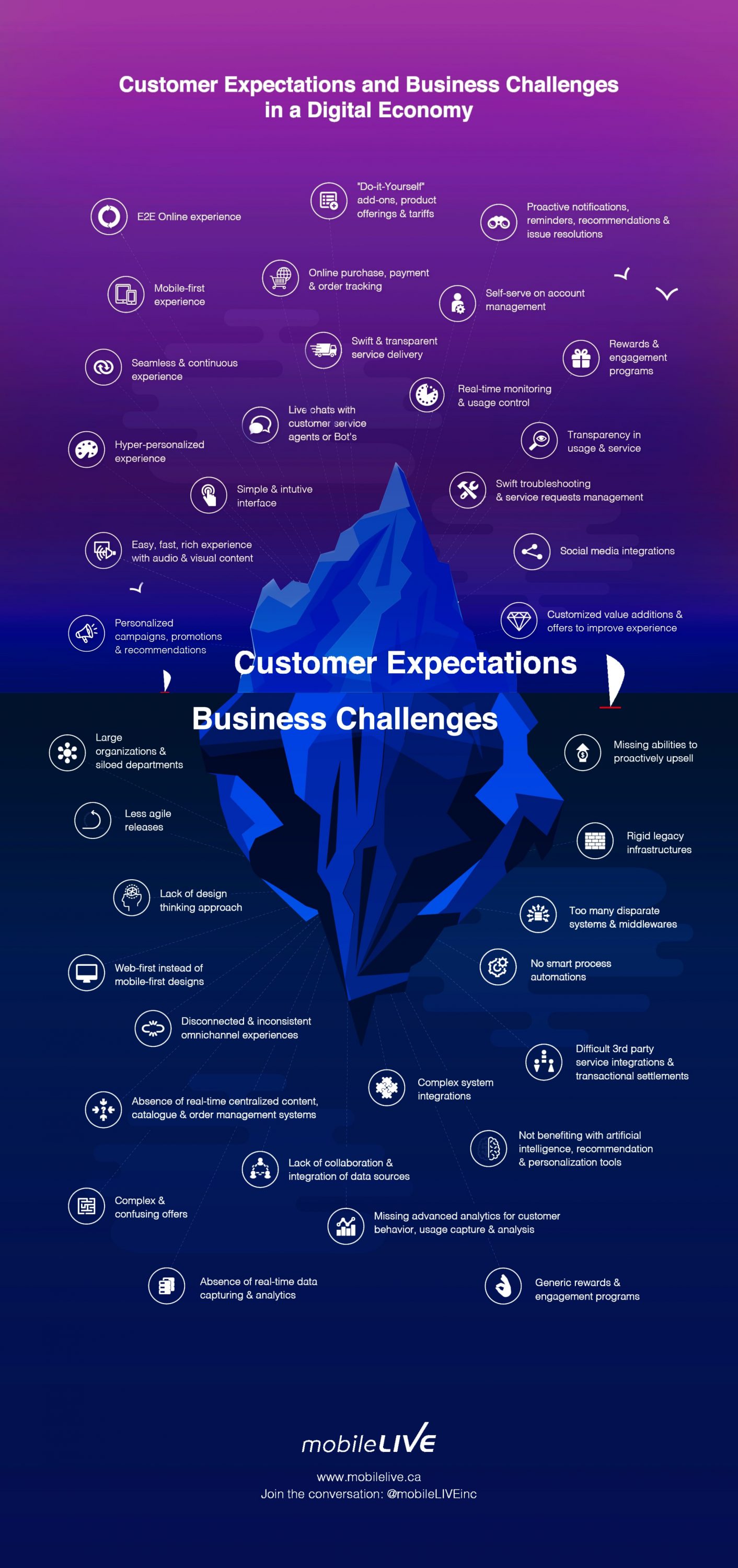 Customer Expectations & Business Challenges in a Digital Economy is a graphical representation that depicts the unique Customer Expectations and the associated Business Challenges faced in trying to meet them.